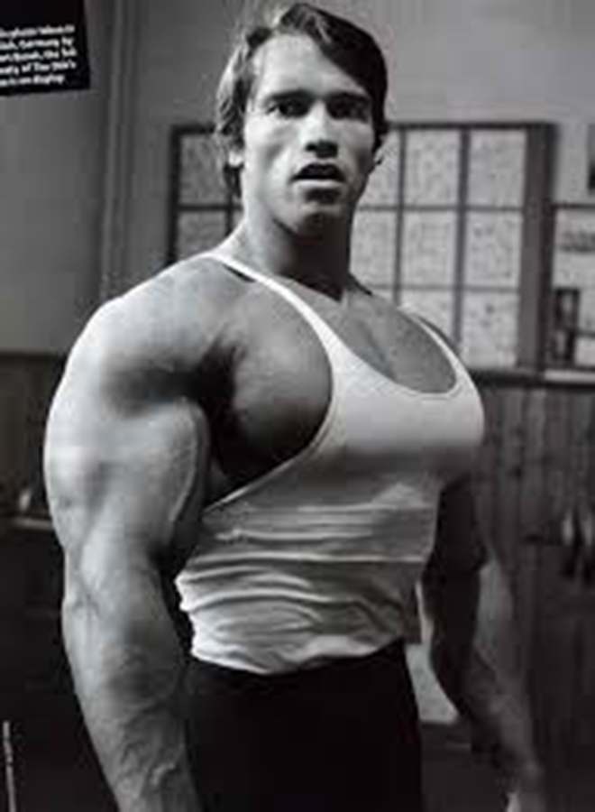 arnold schwarzenegger
