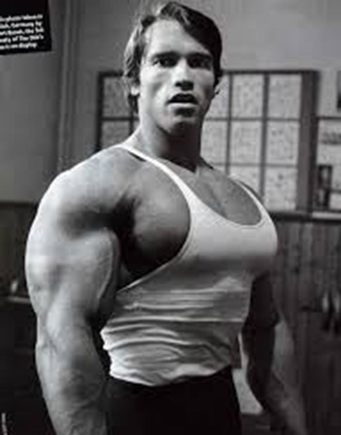 arnold schwarzenegger links to portmouth